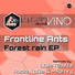 Frontline Ants