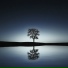 Reiki, Asian Zen Meditation, Spa Music Collective