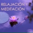 Relajación Natural Maestro