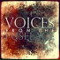 Voices From the Fuselage