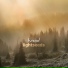 Lightseeds