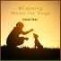 Calming Music for Dogs