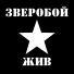 Зверобой