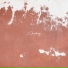 L4