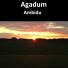 Agadum