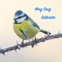 Wing Song