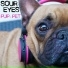Sour Eyes