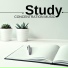 Study Chair
