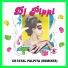 DJ Pippi