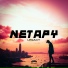 Netapy