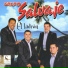 Grupo Salvaje