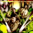 Jungle Brothers
