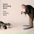 The David Bromberg Band