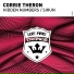 Corrie Theron
