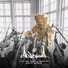 Goldie, Subjective х Гена Пистолет