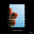 Tyzo Bloom
