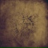 Quantum Solaris