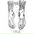 Spectres