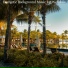 Good Vibrations Resort