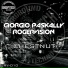 Giorgio Paskally, RogerVision