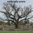 ARTIFICIALLY YOURS