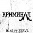 D1kS feat. Fervl