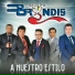 Grupo Bryndis feat. Viento Y Sol