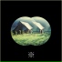 Steve Senderos, Lukas Koch, Saint Saviour