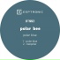Polar Bee