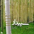 Hamid Motebassem