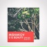 DJ Mishakov