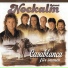 Nockalm Quintett