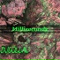 DjCollaj