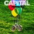 Capital