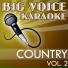 Big Voice Karaoke