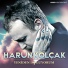 Harun Kolçak