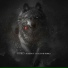 Ho3ein feat. Amir Tataloo, Reza Pishro