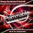 Energy Syndicate, HybridZ