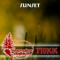 Tiikk