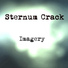 Sternum Crack