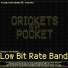 Low Bit Rate Band