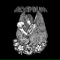 ADENIUM