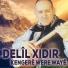 Delîl Xidir