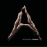 Gotan Project