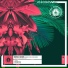 Doorly, Tan Dem feat. The Voice Of Mike Skinner