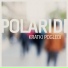 Polaridi