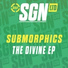 Submorphics
