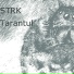 Strk