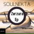 Soulnekta