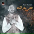 Raza Hassan